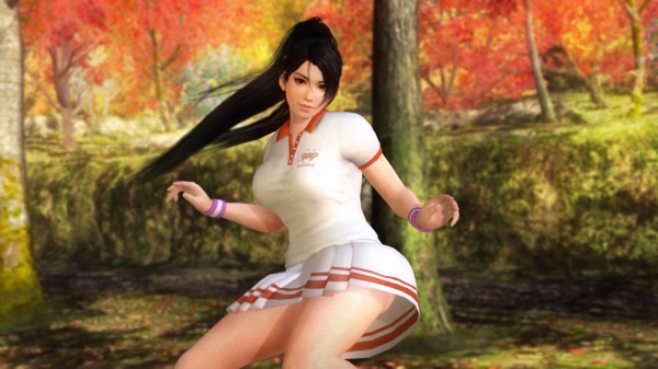 dead or alive 5 ultimate core fighters costumes