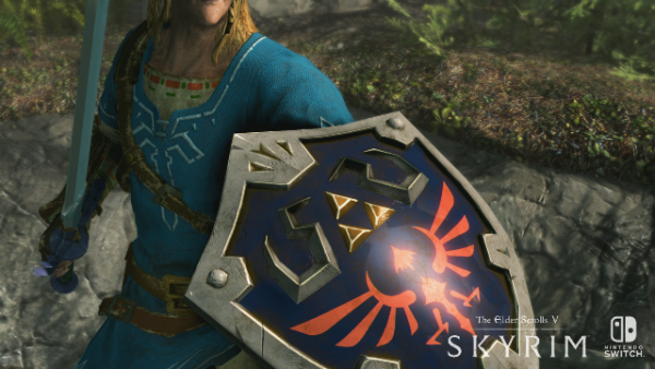 SkyrimSwitch_Shield